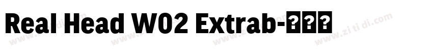 Real Head W02 Extrab字体转换